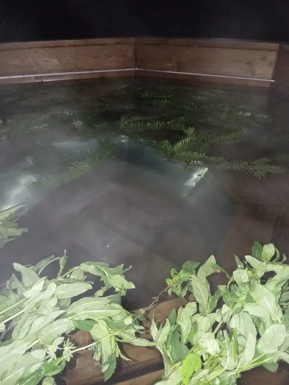 Уютный гостевой дом Оштен