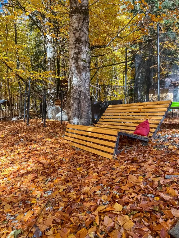 Уютный домик в чаще леса