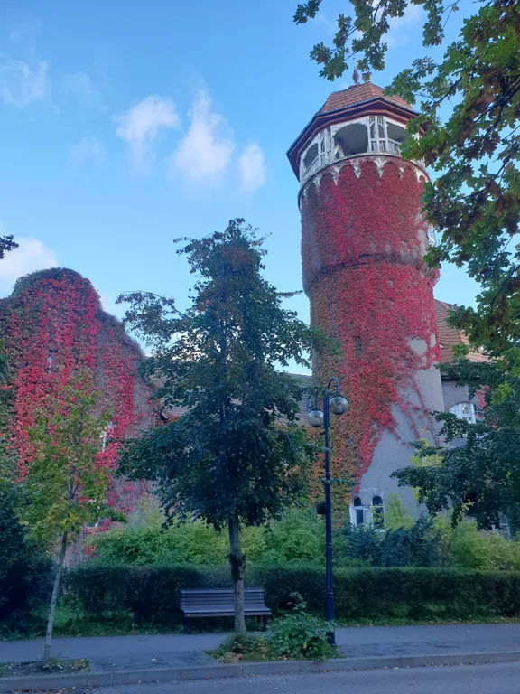 Квартира Уютная 2-комнатная квартира — Светлогорск