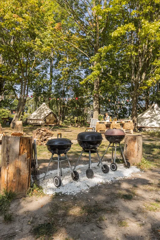 Уютный шатер среди деревьев на берегу озера