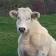 Татьяна