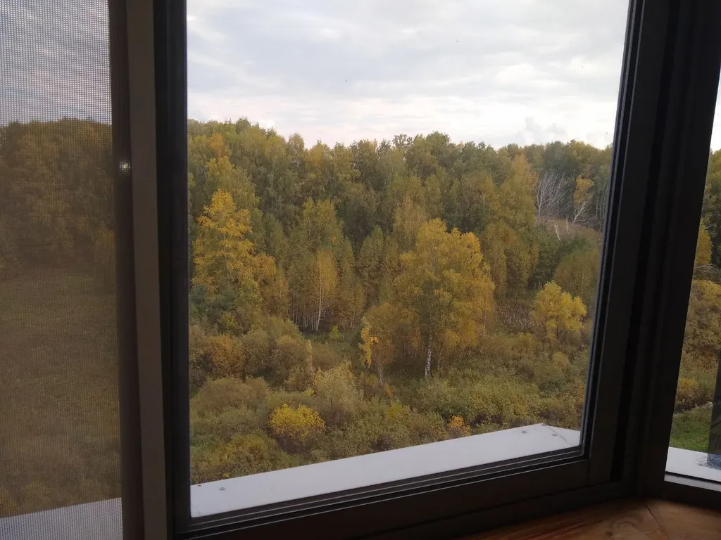 Уютная квартира с видом на лес