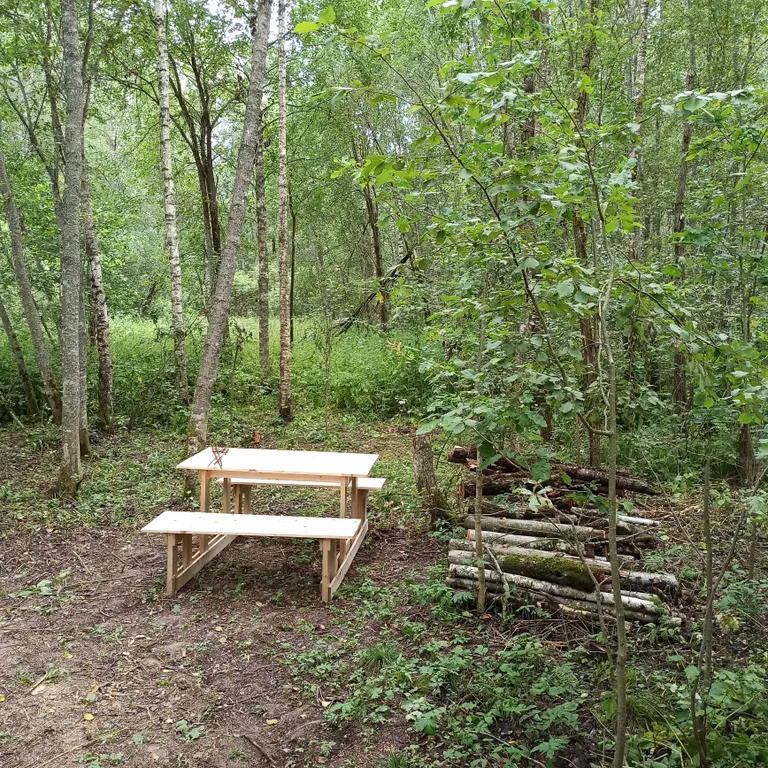 Коттедж Дом у леса — Можайск