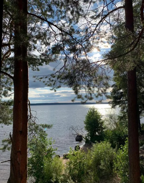 Коттедж Дом на первой линии озера Волго — Турбаза Чайка