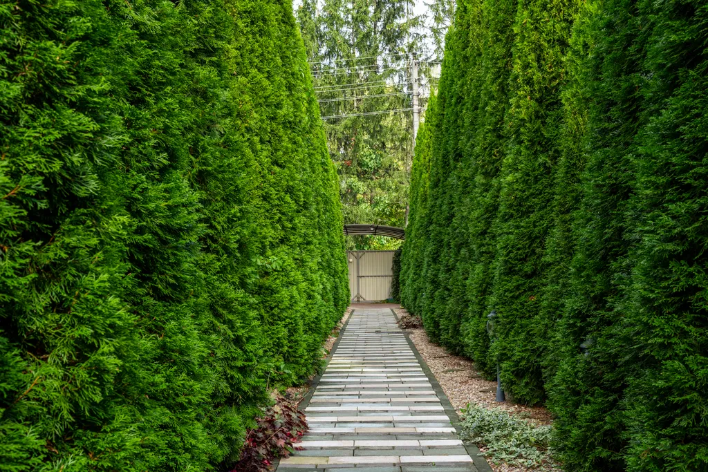 4-комнатный Дом