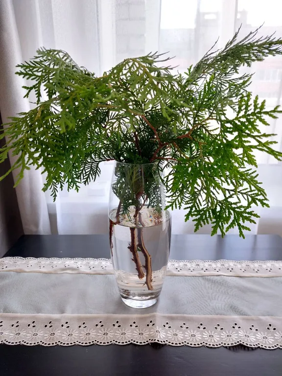 Квартира с видом на город