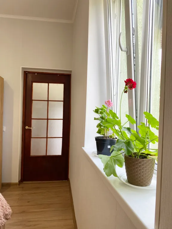 Квартира Квартира Первая линия у моря — Зеленоградск