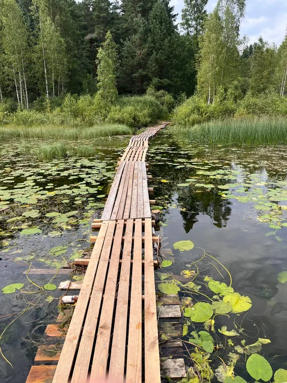 Гостевой домик на хуторе Керино