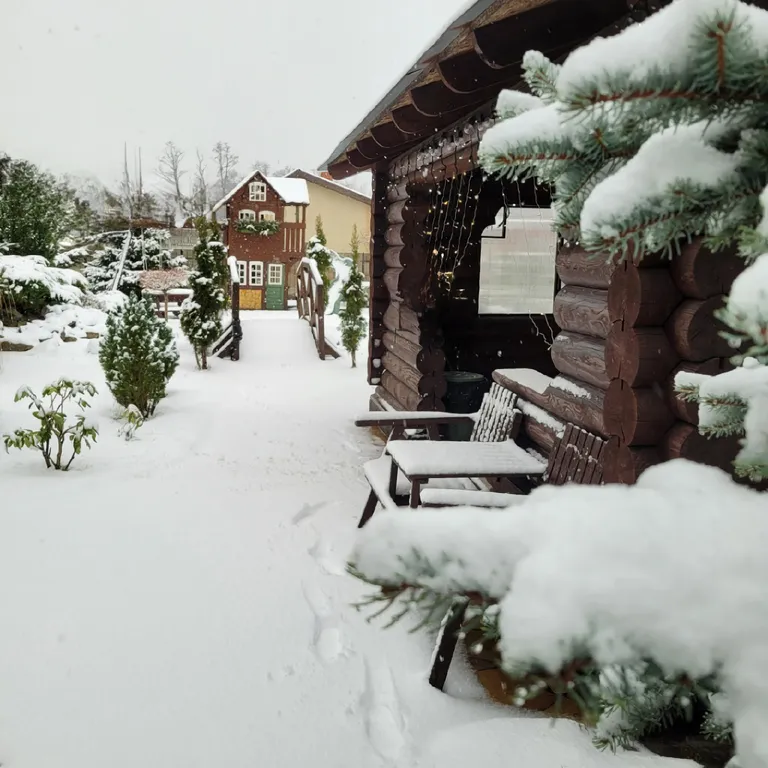 Вилла Морская - уютный дом с бассейном на берегу Балтийского моря