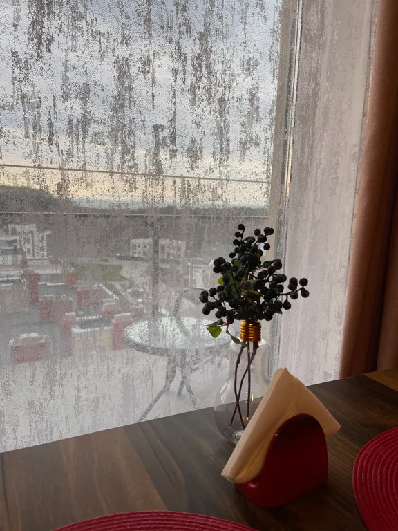 Квартира Квартира Sunset funs — Светлогорск