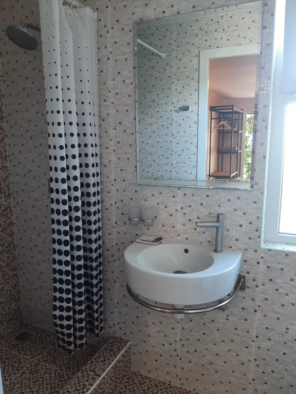 Кактус у моря