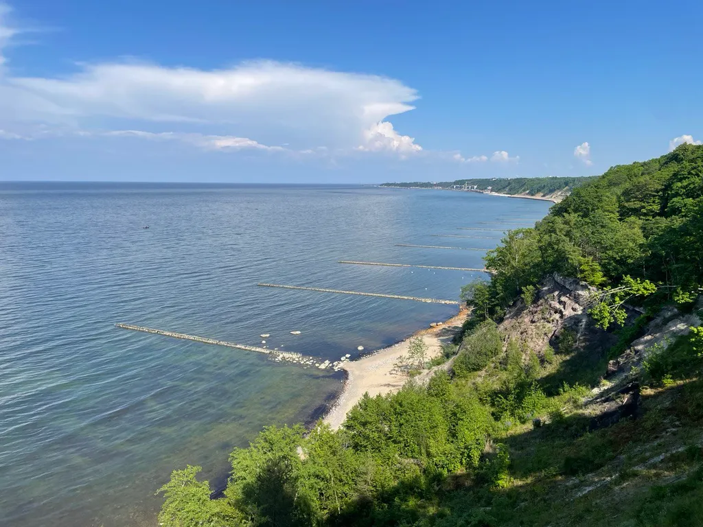 Загородная + мангальная зона