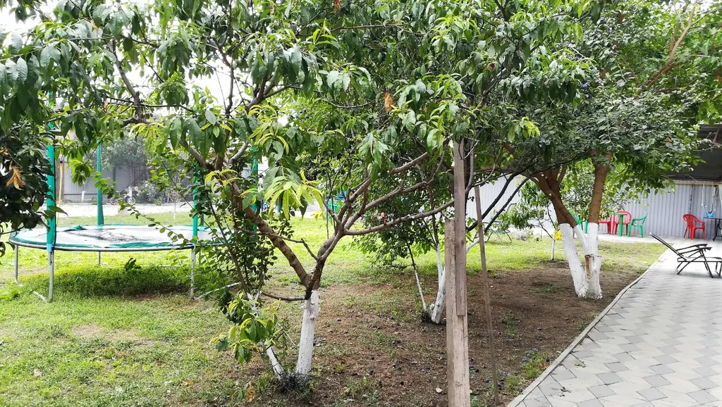 Квартира Комната — Кучугуры