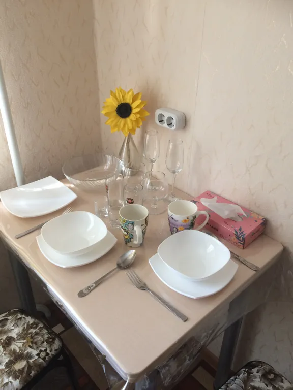 Уютная чистая квартира в центре города