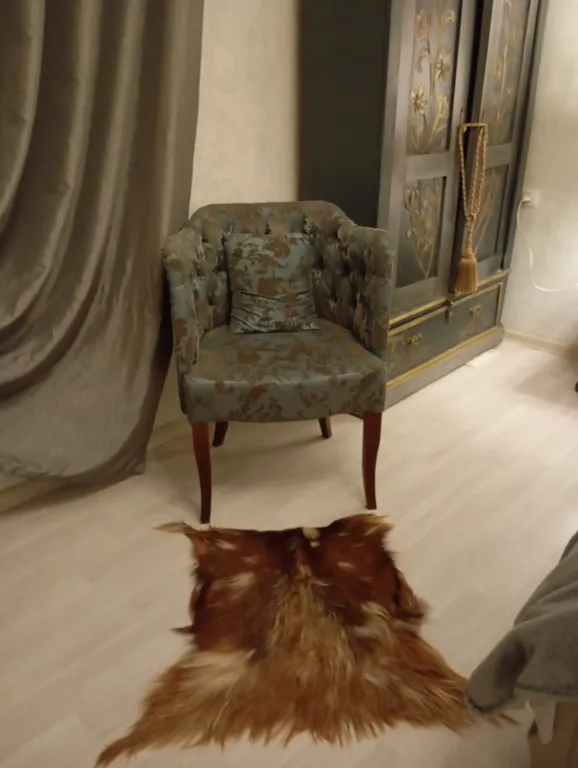 Квартира Квартира в историческом центре Владикавказа — Владикавказ