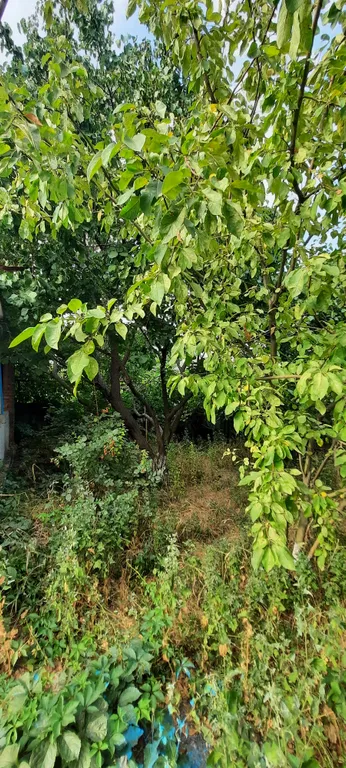 Дом возле моря