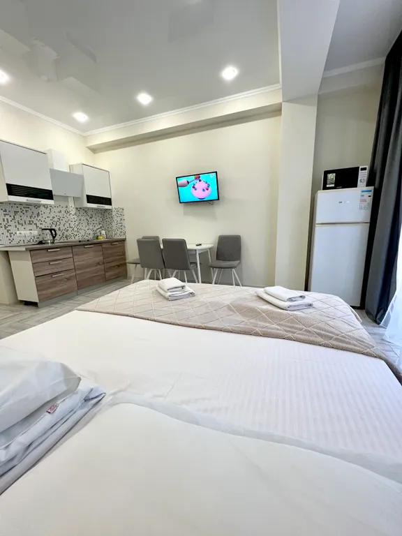 Квартира Квартира около Олимпийского парка — Сириус