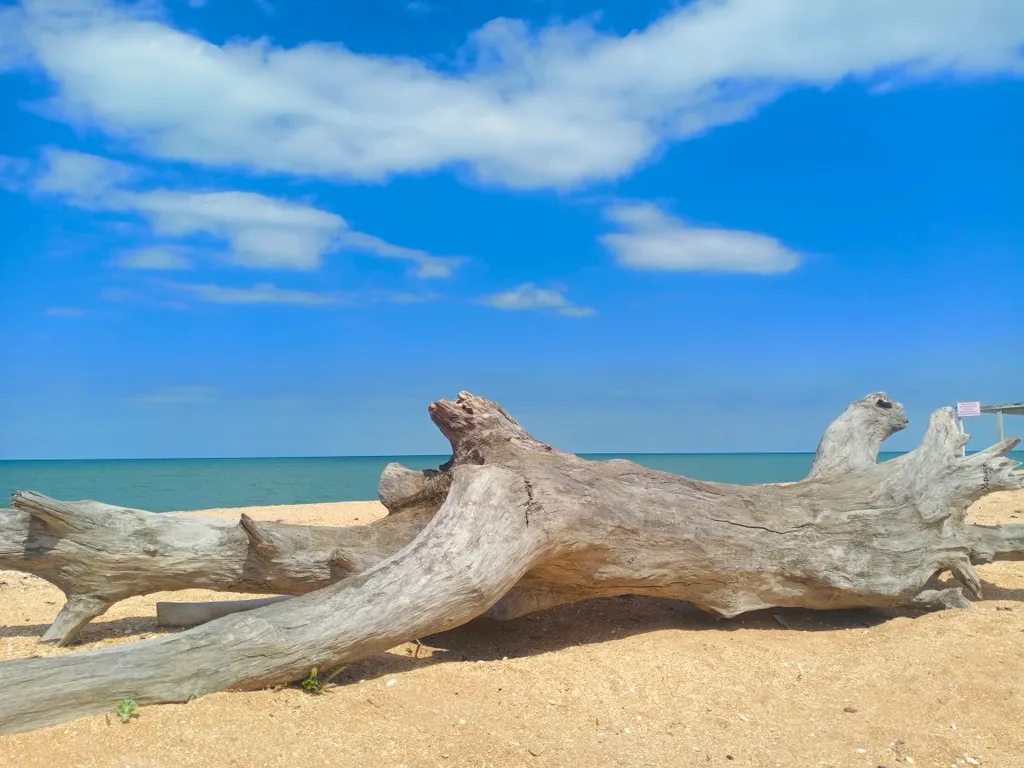 Дом на берегу моря