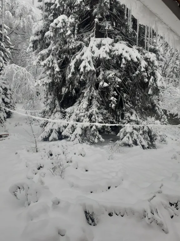 Новый дом в лесу Хатипара