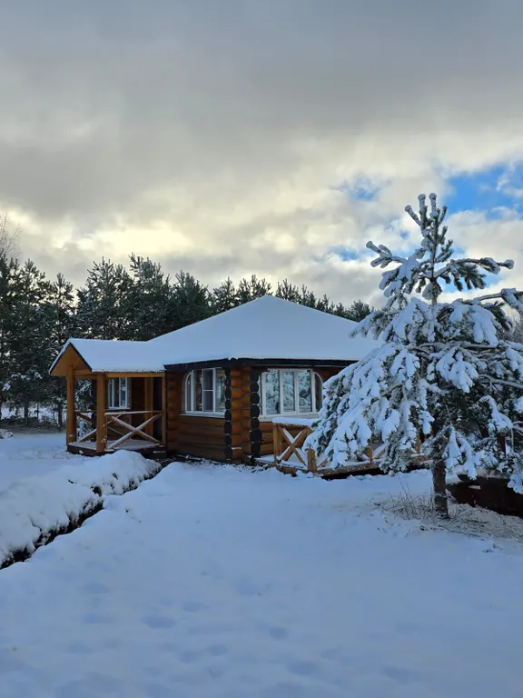 Благоустроенный стильный дом на 1 линии о.Селигер