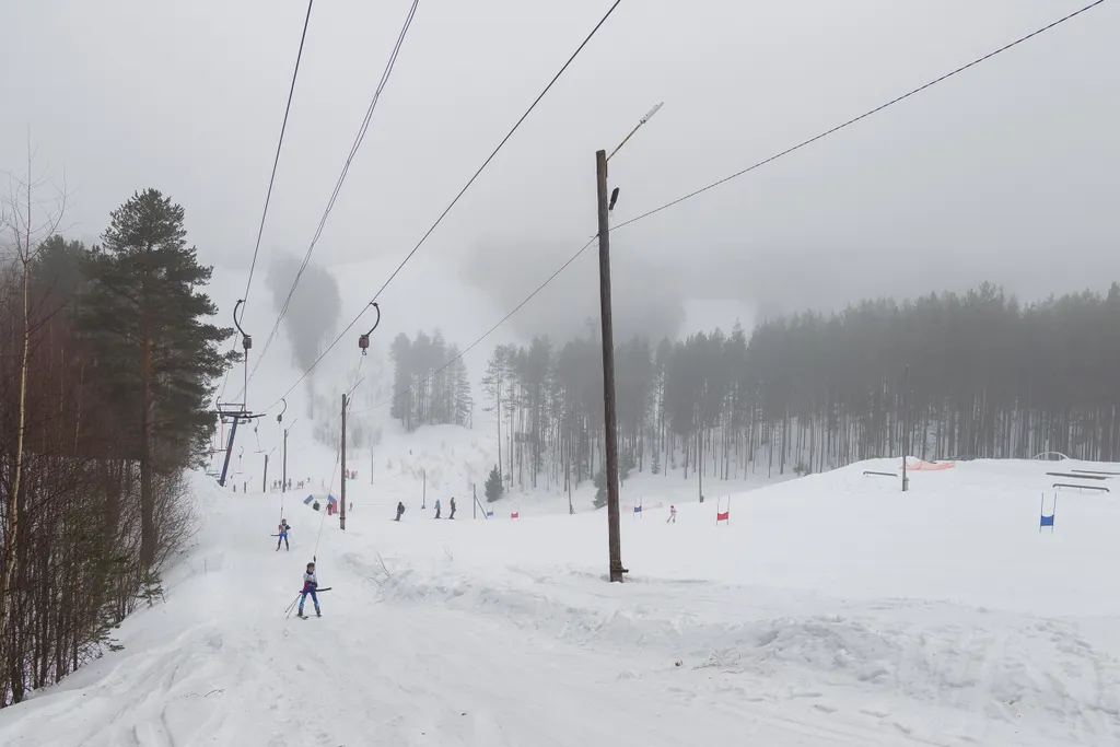 Уютный гостевой дом в лесном просторе