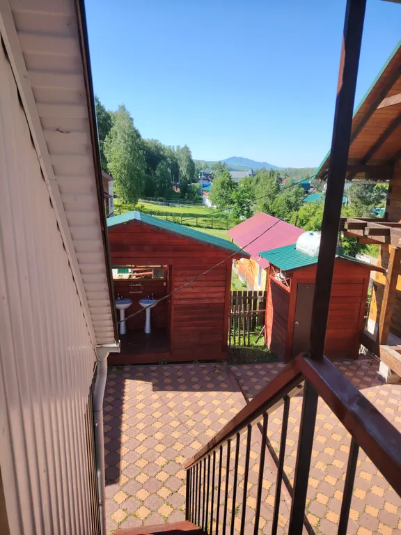 Летний номер с видом на березовый лес