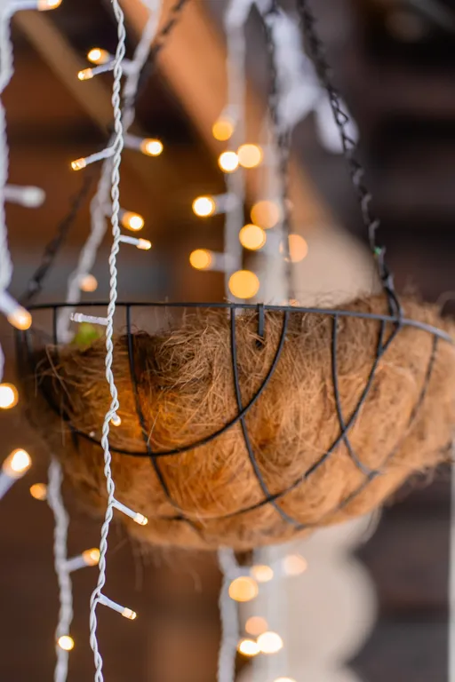 Гуси Лебеди