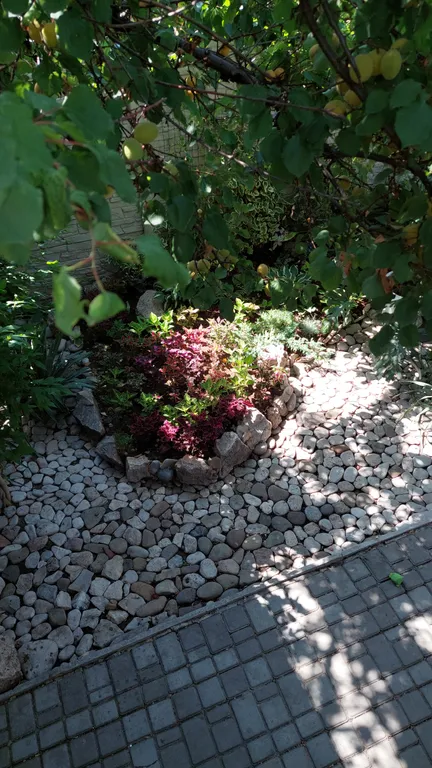 4х местный номер в коттедже, от 3х суток