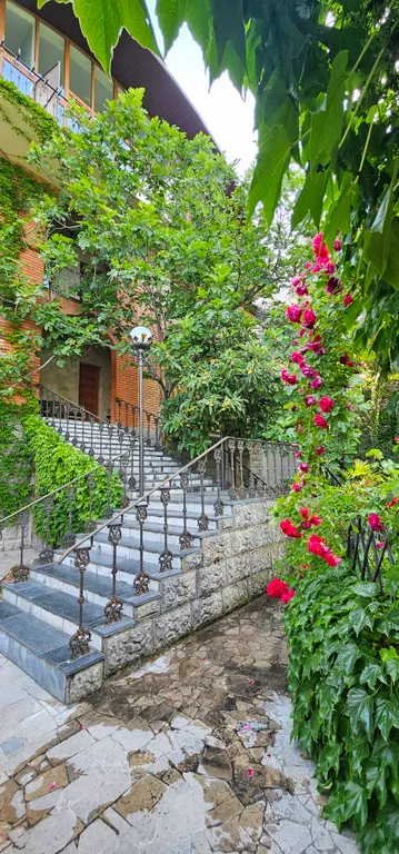 Солнце Ялты