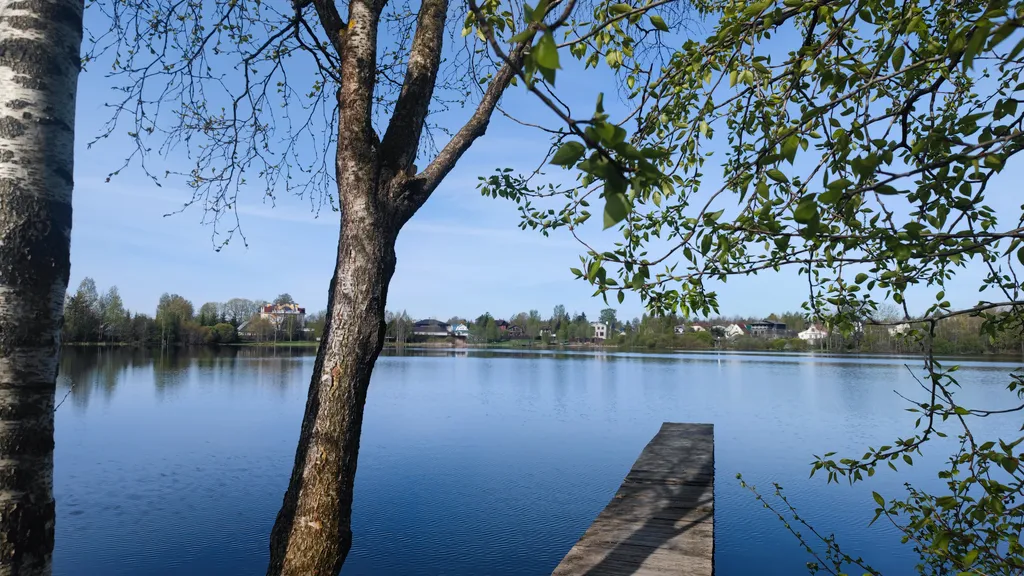 Домик с сауной у озера