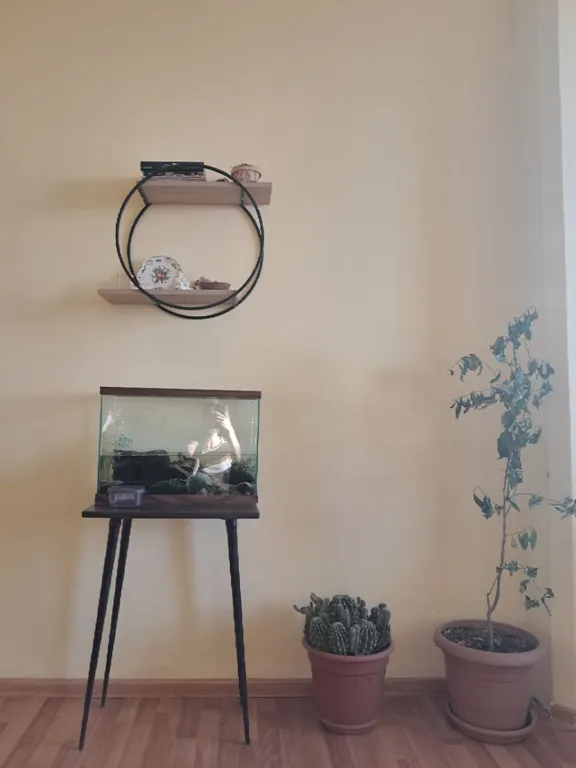 Уютный дом для ярких мгновений