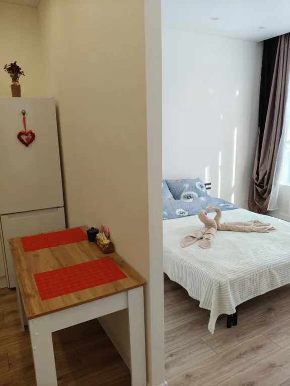 Видовая студия с дизайнерским ремонтом