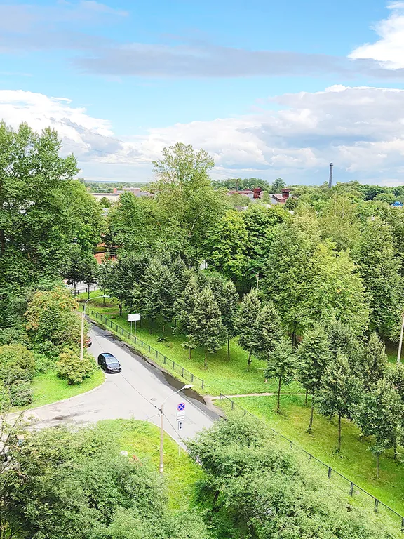 Квартира Апартаменты в центре с видом на парк — Колпино