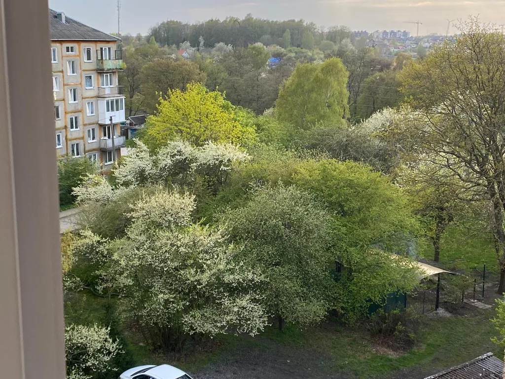 Квартира Уютная квартира у моря — Пионерский