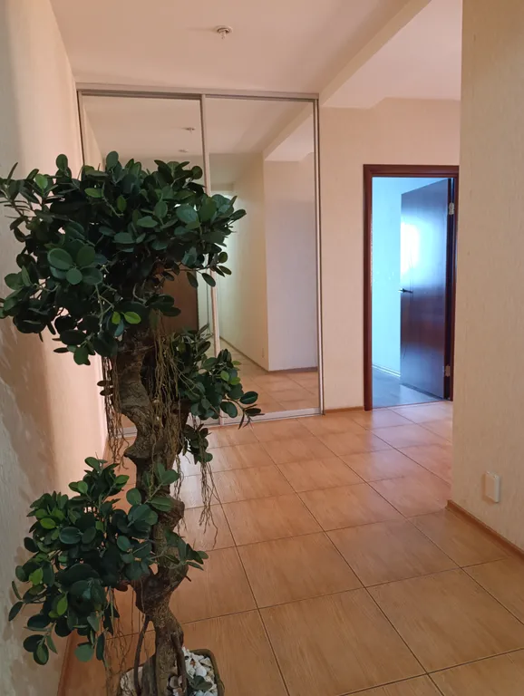 Квартира с видом на мост Дружбы