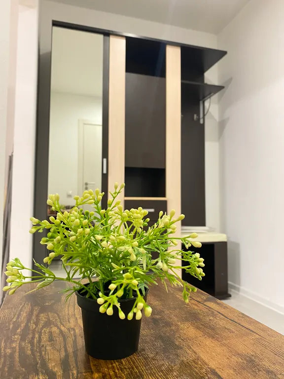 Вместительная студия в новом ЖК