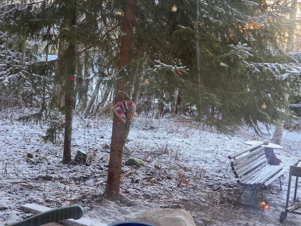 Дом в лесу Таттипортти