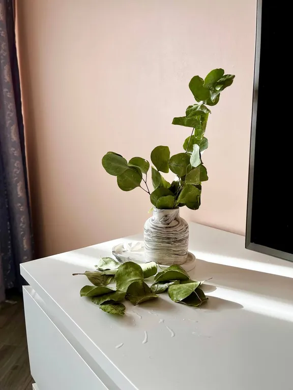 Прекрасные апартаменты для  гостей