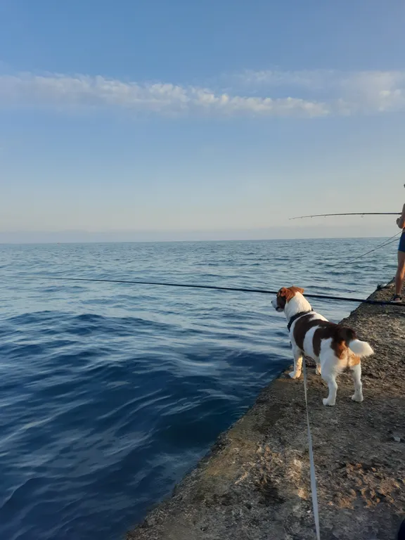 Комната с атмосферным видом море