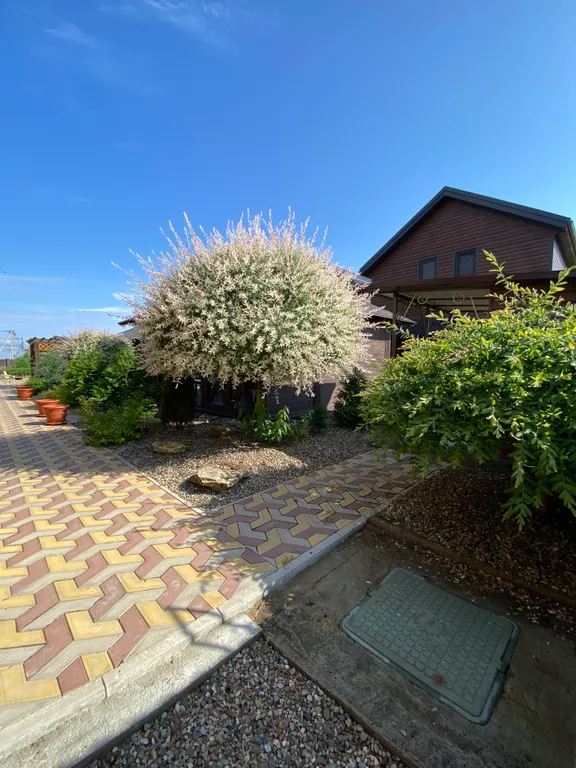 Уютная Терраса