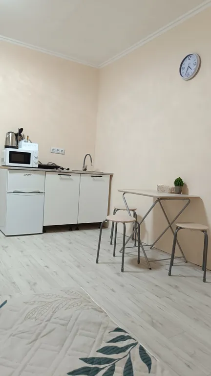 Уютная студия на летний период