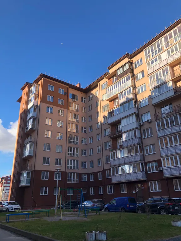 Квартира Уютная квартира — Калининград