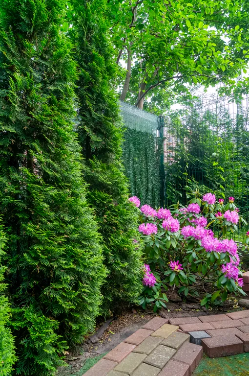 Квартира Апартаменты "Кайрос" с видом на озеро — Светлогорск