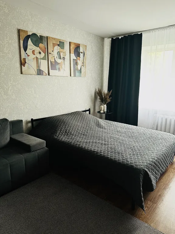 Уютная однокомнатная квартира