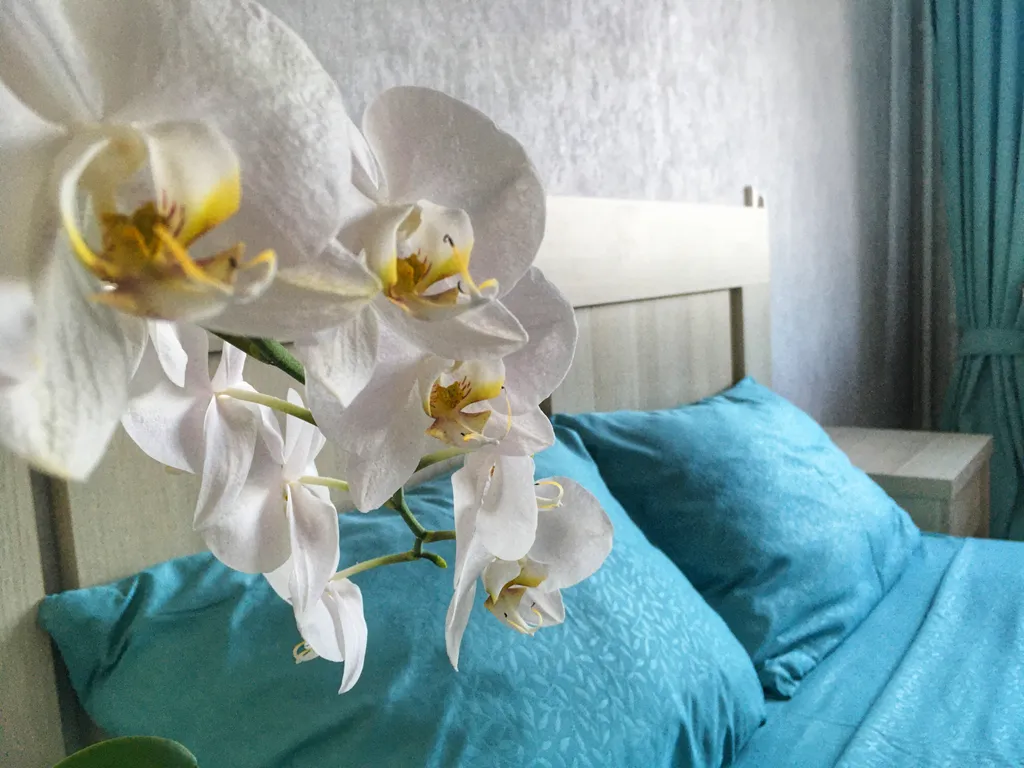 Квартира Квартира с видом на Обь у Аквапарка — Новосибирск