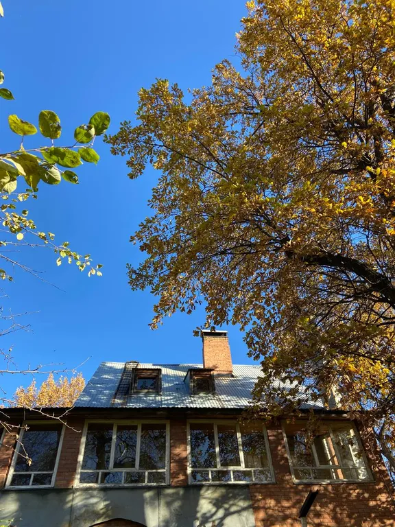 Трёхэтажный коттедж с сауной и бассейном в тихом заливе волги