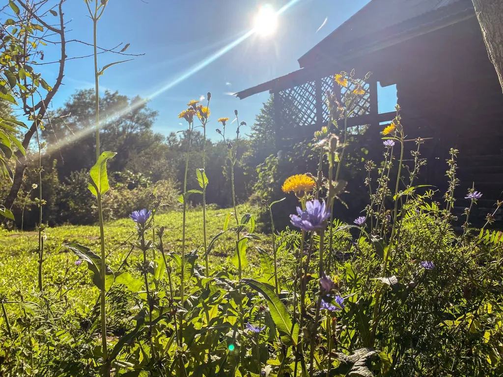 Уютное шале в любое время года