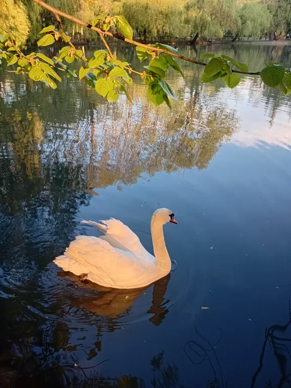 Квартира Квартира в самом сердце Владикавказа. — Владикавказ