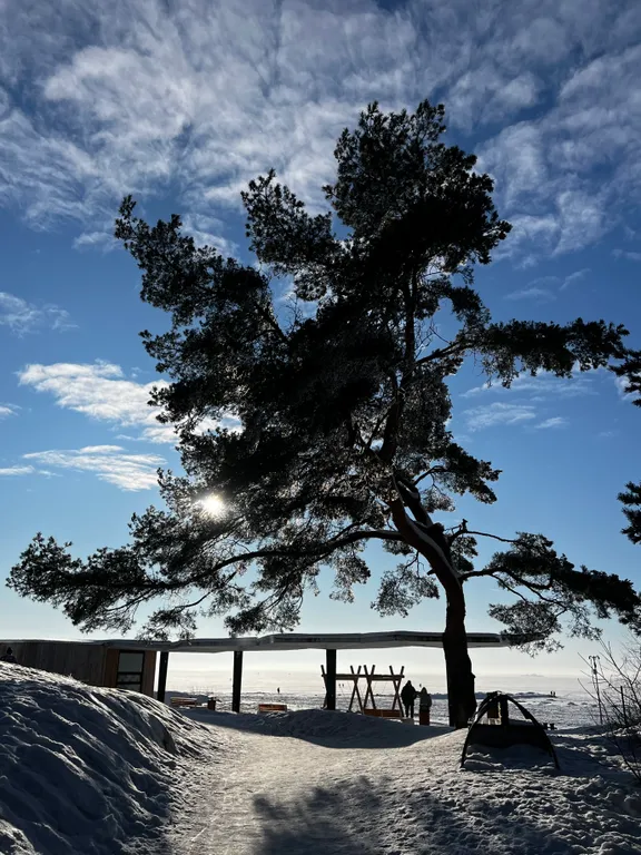 Апартамент на берегу Финского залива, 1 линия, Светлый мир внутри