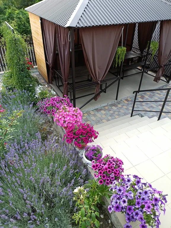 Коттедж Дом у моря посуточно с  бассейном Пляхо — Пляхо